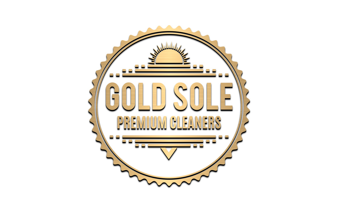 GoldSole Foam Shoe Cleaner– The Best Shoe Cleaner On The Market